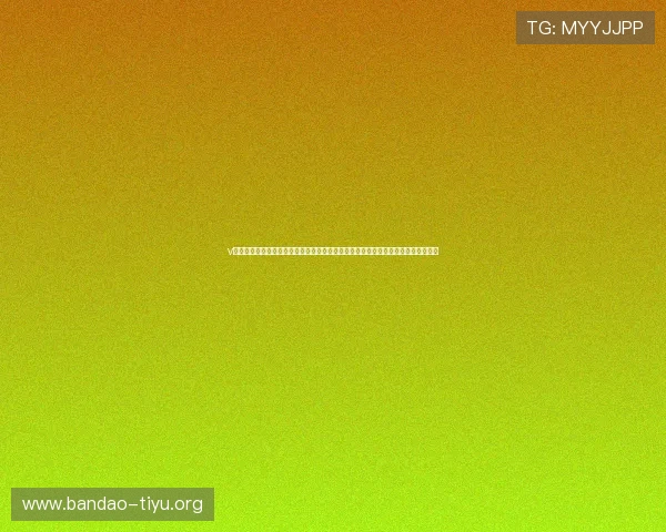 v体育网站登录入口最新指南帮助用户顺利进入平台体验丰富体育赛事直播与互动功能